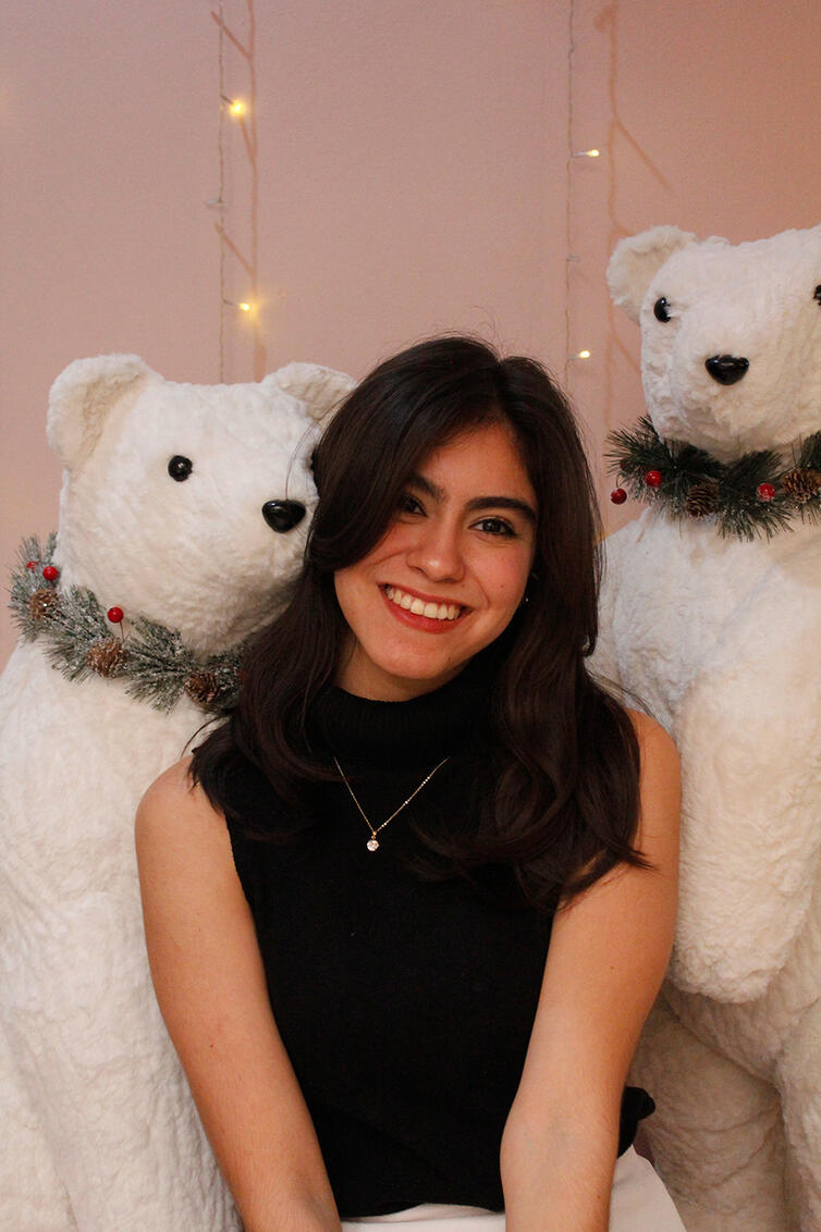 Christmas season