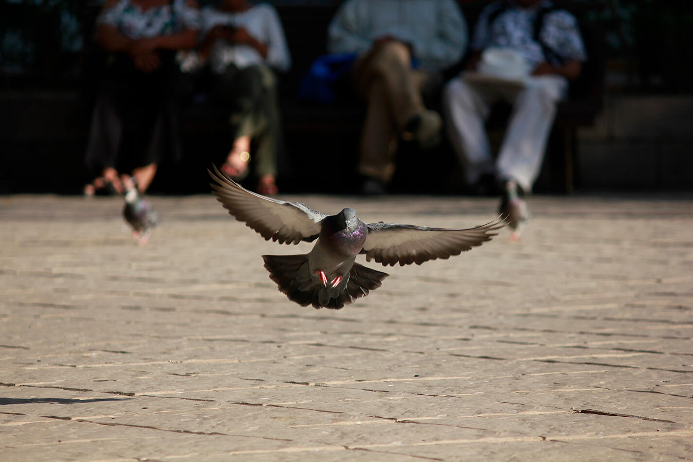 Landing